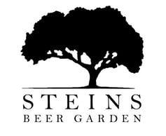 Steins Logo - New